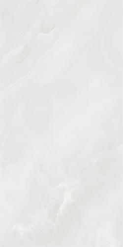 LV9819_2